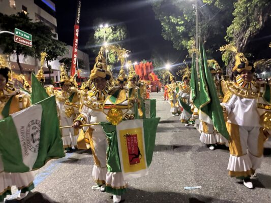 Acari: A arte negra é a herança viva que brilhou na Sapucaí!
