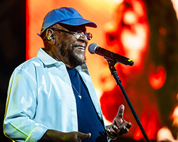 confira essa noticia: Botequim da Cidade do Samba: Martinho da Vila, Neguinho da Beija-Flor e Ferrugem fecham temporada