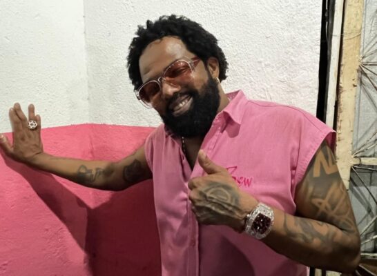 Jacarezinho homenageia Xande de Pilares com samba emocionante na volta à Sapucaí