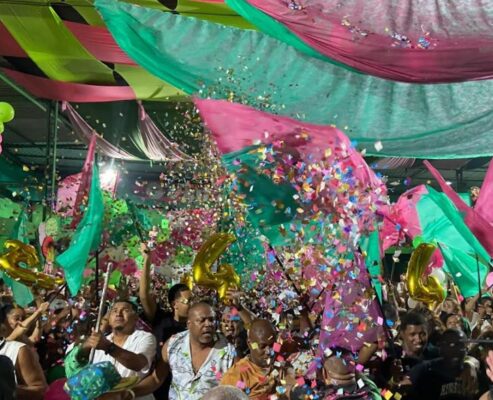 Lins Imperial exalta as águas de Cachoeiras de Macacu no Carnaval 2026