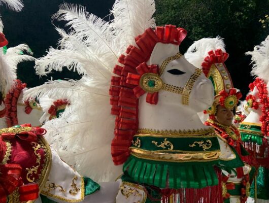 Mangueira leva a Amazônia para a Sapucaí com Mestre Sacaca Rei Momo!