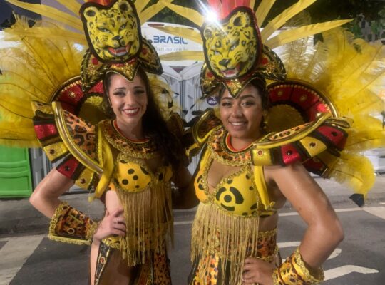 Vigário Geral: Passistas viram onças e mostram a força feminina na Sapucaí!